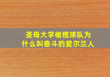 圣母大学橄榄球队为什么叫奋斗的爱尔兰人