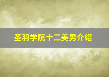 圣羽学院十二美男介绍