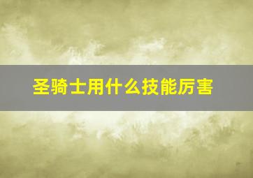 圣骑士用什么技能厉害