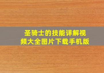 圣骑士的技能详解视频大全图片下载手机版