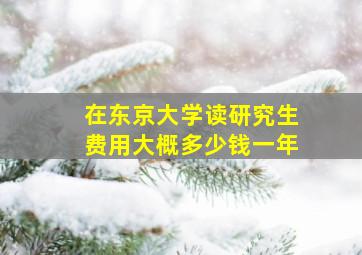 在东京大学读研究生费用大概多少钱一年