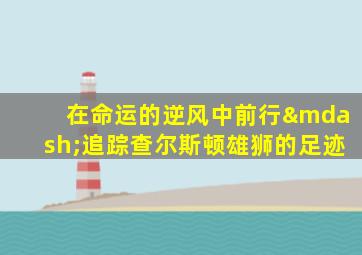 在命运的逆风中前行—追踪查尔斯顿雄狮的足迹