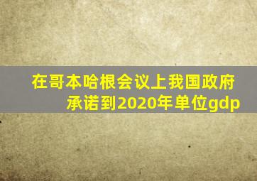 在哥本哈根会议上我国政府承诺到2020年单位gdp