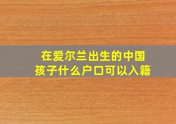 在爱尔兰出生的中国孩子什么户口可以入籍