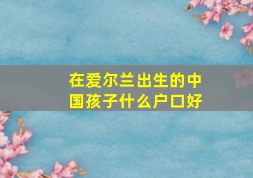 在爱尔兰出生的中国孩子什么户口好