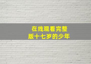 在线观看完整版十七岁的少年