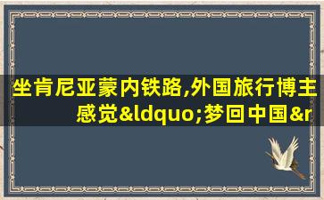 坐肯尼亚蒙内铁路,外国旅行博主感觉“梦回中国”