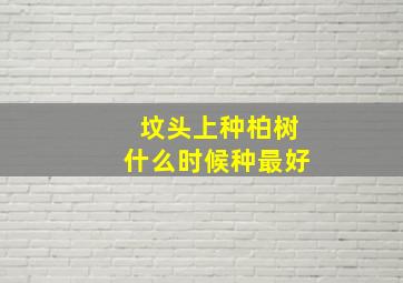 坟头上种柏树什么时候种最好