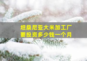 坦桑尼亚大米加工厂要投资多少钱一个月