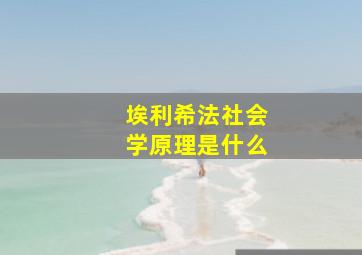 埃利希法社会学原理是什么