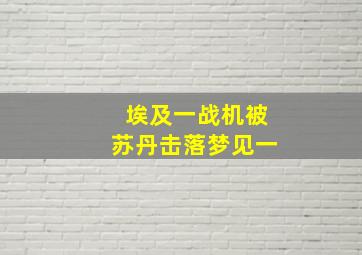 埃及一战机被苏丹击落梦见一