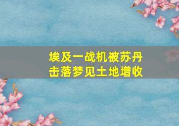 埃及一战机被苏丹击落梦见土地增收