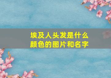 埃及人头发是什么颜色的图片和名字