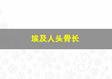 埃及人头骨长