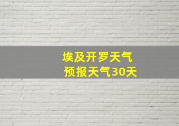 埃及开罗天气预报天气30天