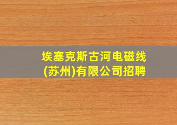 埃塞克斯古河电磁线(苏州)有限公司招聘