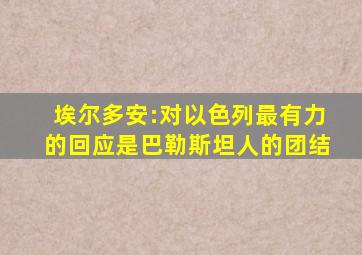 埃尔多安:对以色列最有力的回应是巴勒斯坦人的团结