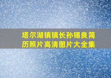 塔尔湖镇镇长孙锡良简历照片高清图片大全集