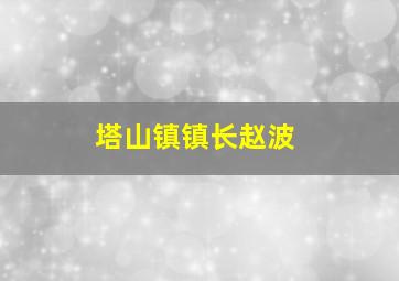 塔山镇镇长赵波