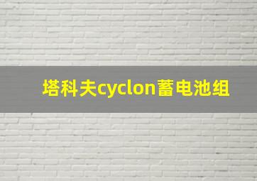 塔科夫cyclon蓄电池组