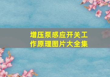 增压泵感应开关工作原理图片大全集