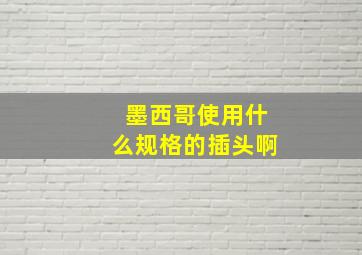 墨西哥使用什么规格的插头啊