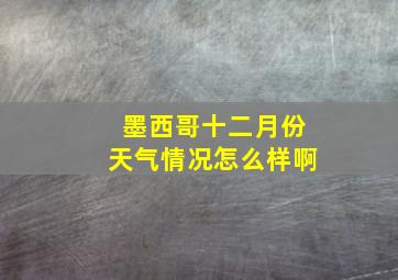 墨西哥十二月份天气情况怎么样啊