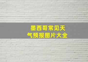 墨西哥常见天气预报图片大全