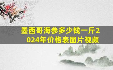 墨西哥海参多少钱一斤2024年价格表图片视频