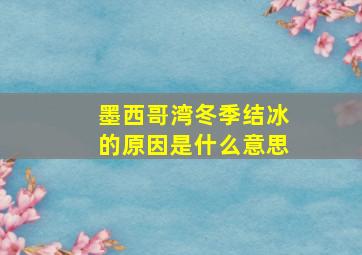 墨西哥湾冬季结冰的原因是什么意思