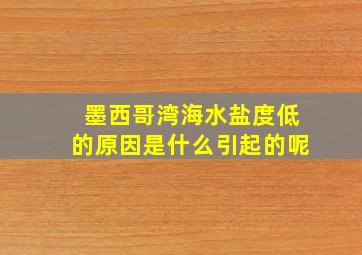 墨西哥湾海水盐度低的原因是什么引起的呢