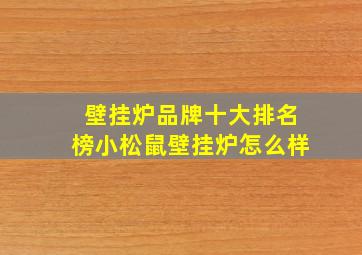 壁挂炉品牌十大排名榜小松鼠壁挂炉怎么样