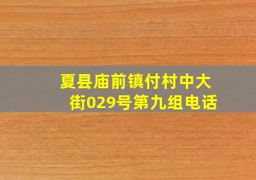 夏县庙前镇付村中大街029号第九组电话