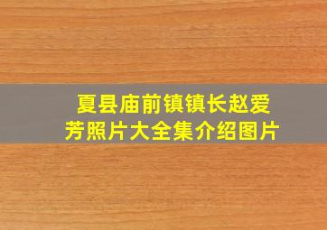 夏县庙前镇镇长赵爱芳照片大全集介绍图片