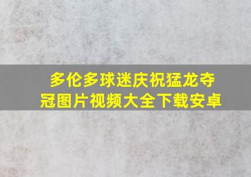 多伦多球迷庆祝猛龙夺冠图片视频大全下载安卓