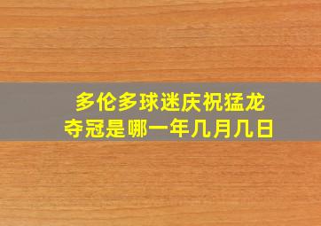 多伦多球迷庆祝猛龙夺冠是哪一年几月几日