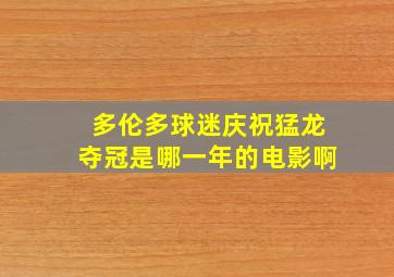 多伦多球迷庆祝猛龙夺冠是哪一年的电影啊