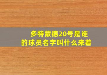 多特蒙德20号是谁的球员名字叫什么来着