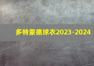 多特蒙德球衣2023-2024