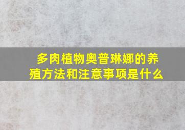 多肉植物奥普琳娜的养殖方法和注意事项是什么