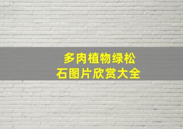 多肉植物绿松石图片欣赏大全