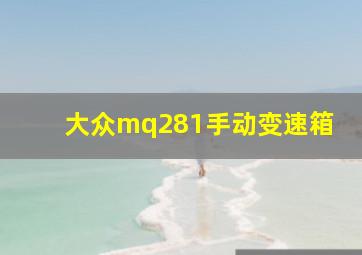 大众mq281手动变速箱