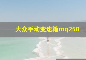 大众手动变速箱mq250