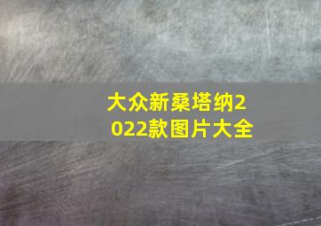 大众新桑塔纳2022款图片大全