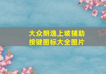 大众朗逸上坡辅助按键图标大全图片