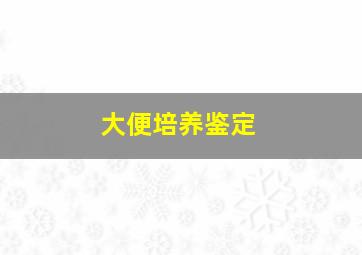 大便培养鉴定