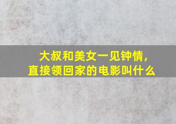 大叔和美女一见钟情,直接领回家的电影叫什么