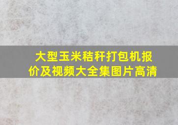 大型玉米秸秆打包机报价及视频大全集图片高清