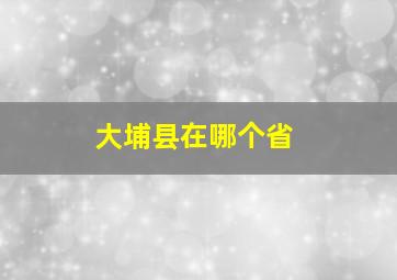 大埔县在哪个省