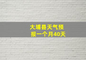 大埔县天气预报一个月40天